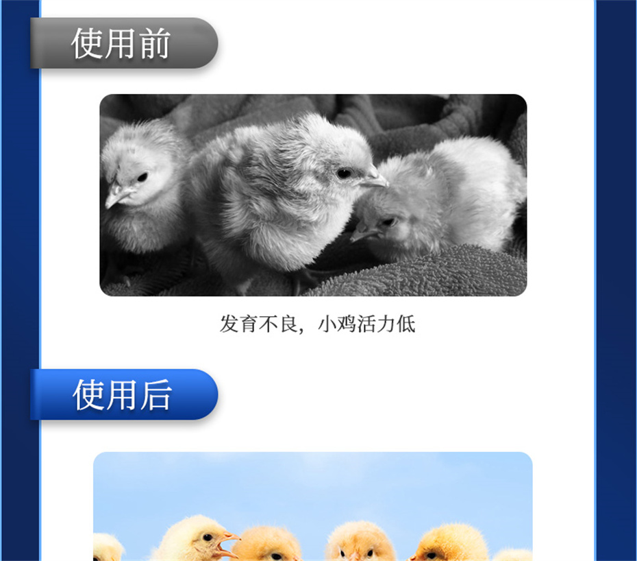 fun88������ҳ�������������Ӽ���������Ʒ����