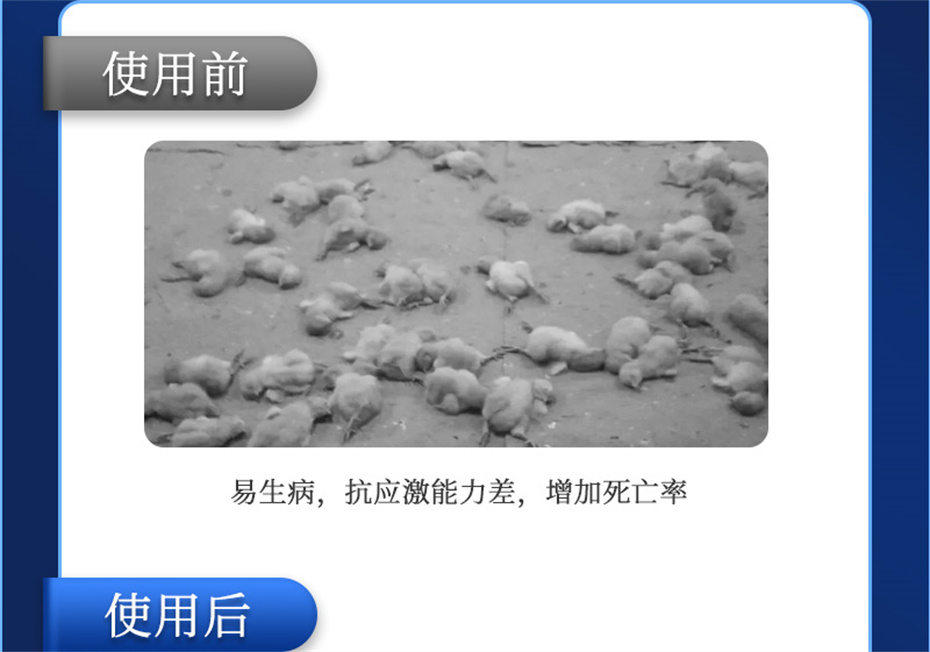 fun88������ҳ�������������Ӽ���������Ʒ����