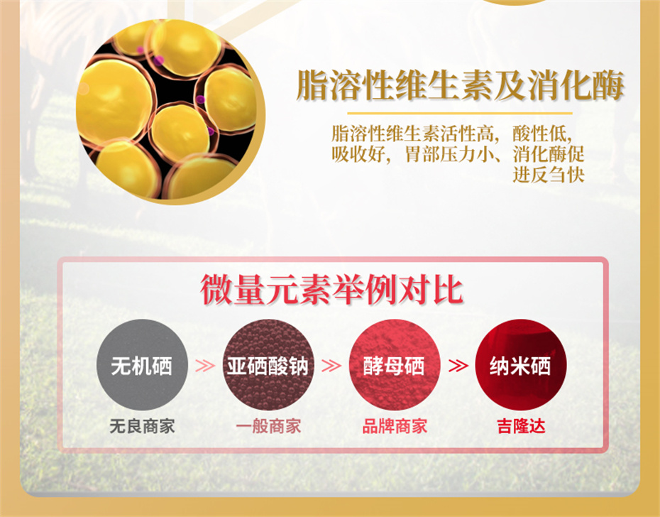 fun88������ҳ����ţ���������Ӽ�ţ��׳������Ʒ����