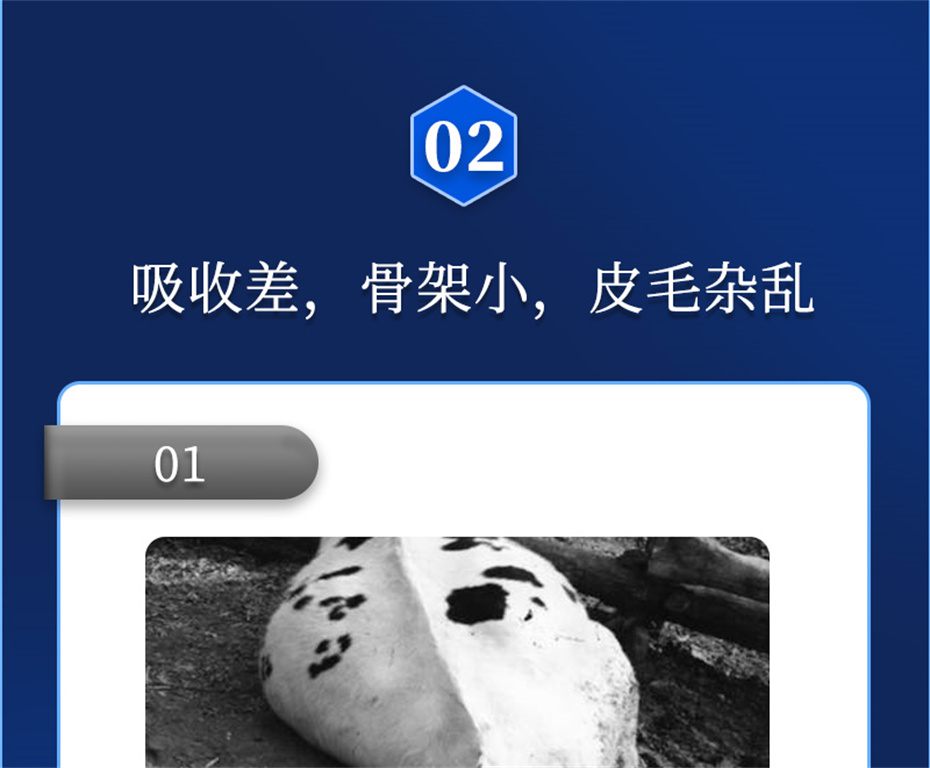 fun88������ҳ����ţ���������Ӽ�ţ��Ԫ˧��Ʒ����