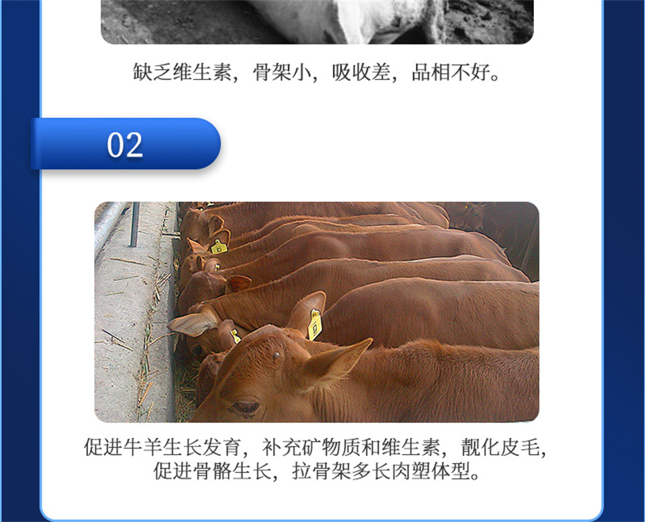 fun88������ҳ����ţ���������Ӽ�ţ��Ԫ˧��Ʒ����