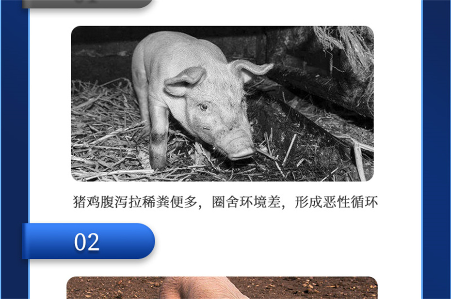 fun88������ҳ�������������Ӽ��������Ʒ����