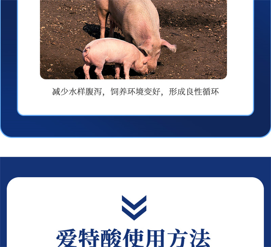 fun88������ҳ�������������Ӽ��������Ʒ����