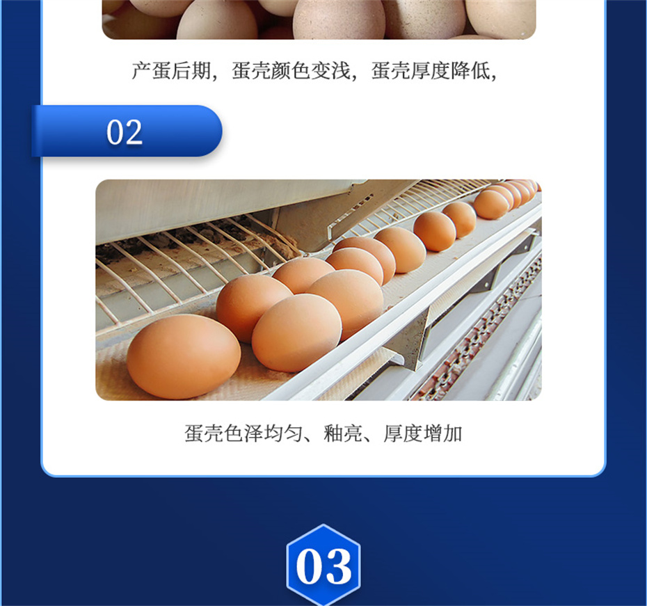 fun88������ҳ�������������Ӽ�ǿ�Ǳ���Ʒ����