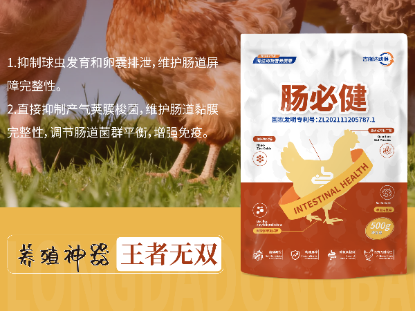 300g-1kg��Ͷ���������Ļر��������ؽ����ۺ�Ч�����