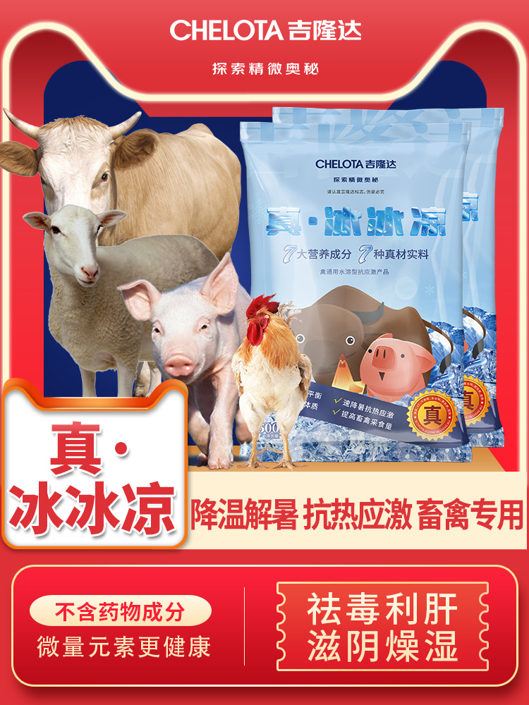 fun88������ҳ�桤������