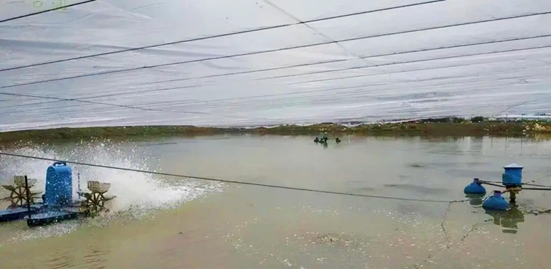 ��������Ϻ