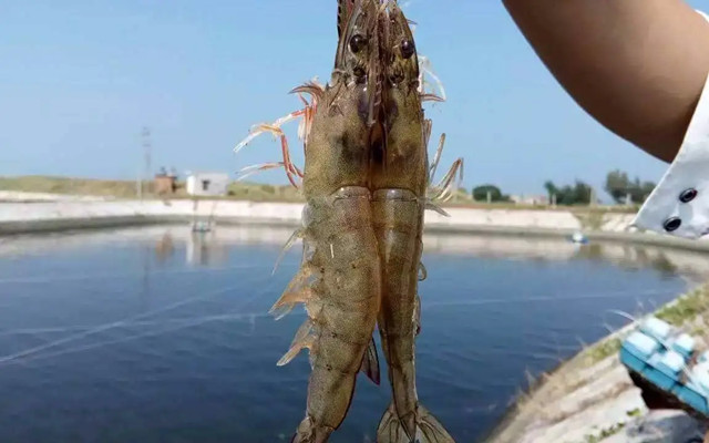 ��Ϻ�����ؾ�