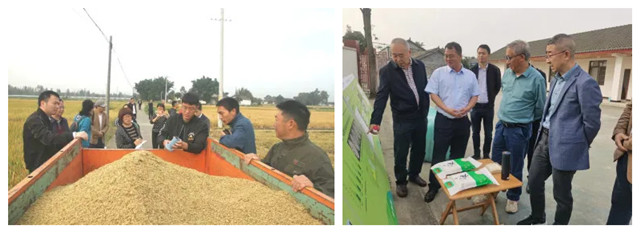 ����-������ѭ����ģʽ������ֳ�����