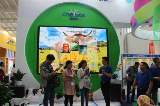 fun88������ҳ��չ�й�����������