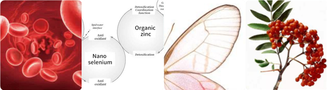 fun88������ҳ����Ѫ