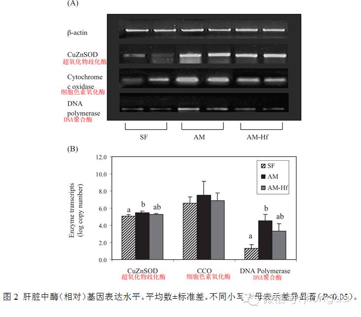 �������Ӽ�