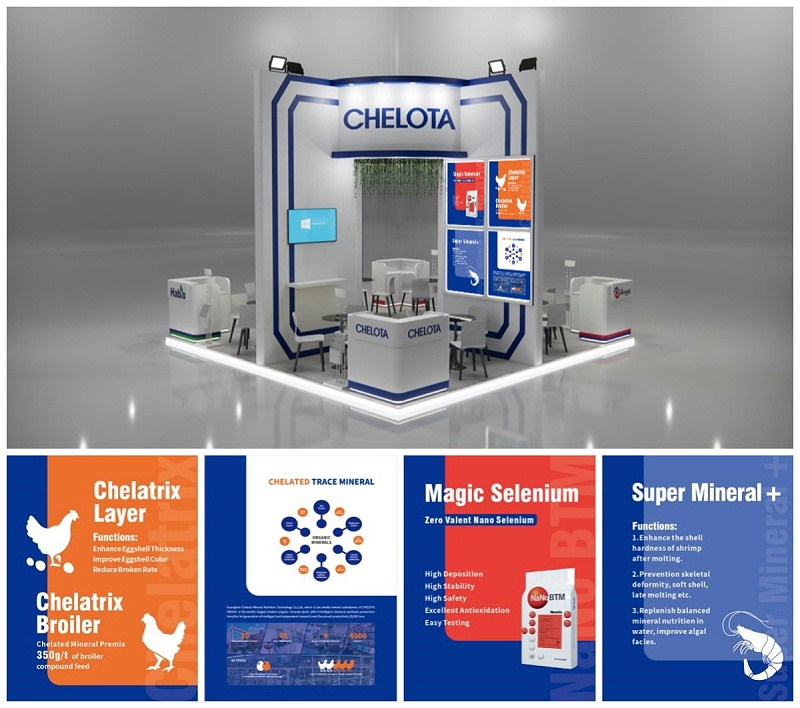 ӡ������չ����fun88������ҳչλ