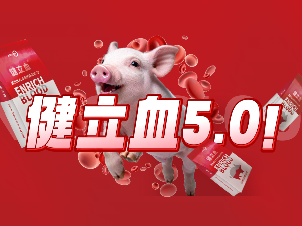 fun88������ҳ������������ͽ���Ѫ�ذ��ǳ���