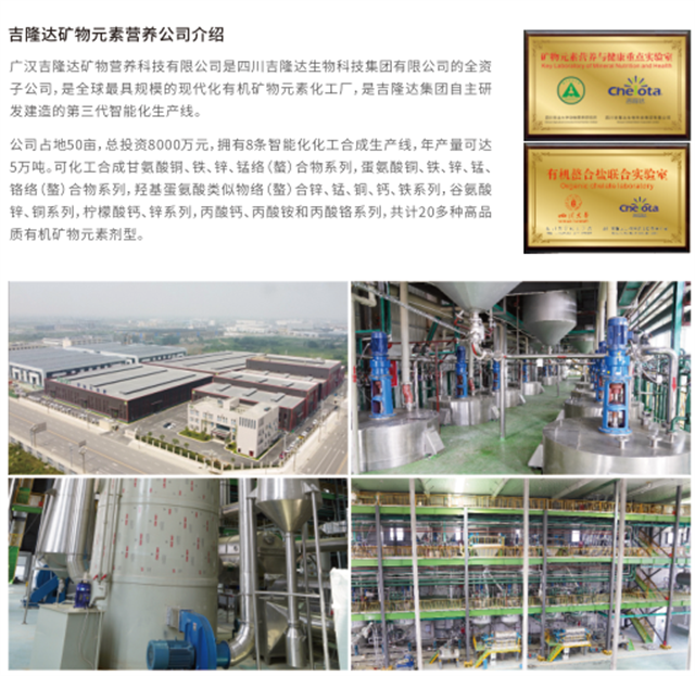 fun88������ҳ��̬