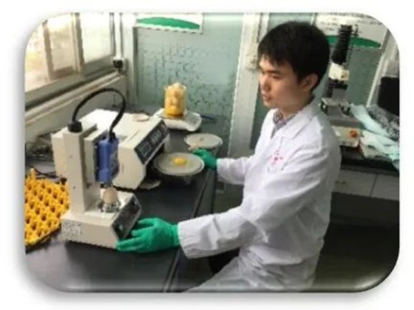 ΢��Զ����Ʒ������̳�ر�����������л�΢��Ԫ�ظ�ЧӦ���о�