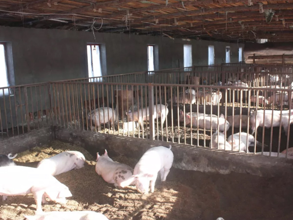 �������������������������������΢��Ԫ��Ԥ�������������