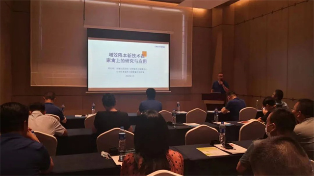 fun88������ҳ̽����΢���ؼ���������