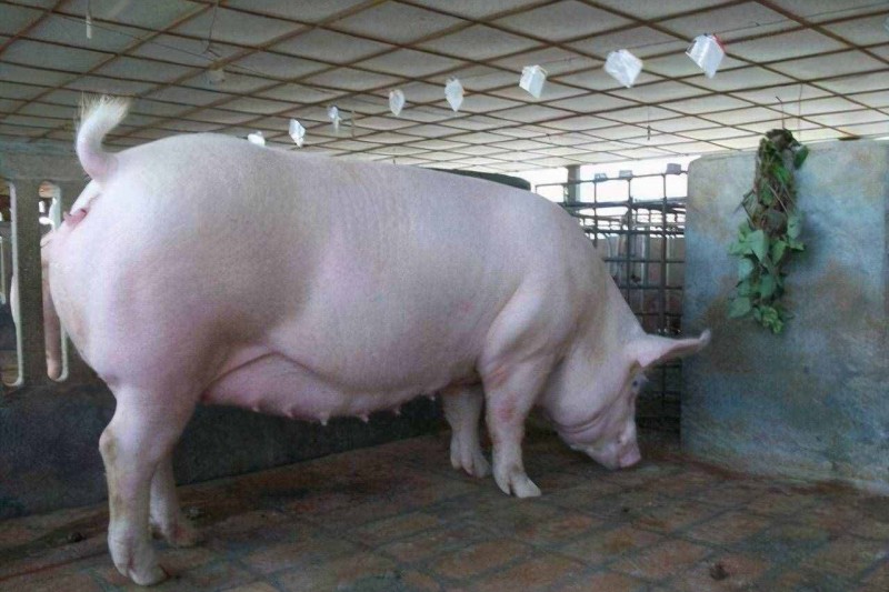 ĸ���Ѳ���ԭ��