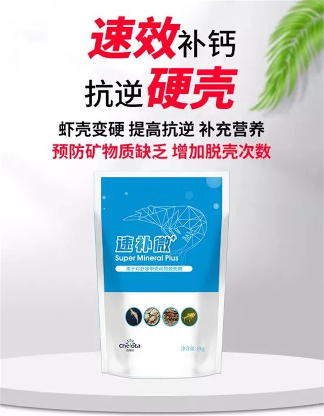 fun88������ҳ�ٲ�΢+