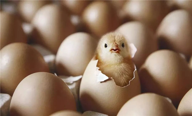 �������Ӽ�