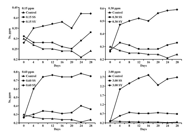 �������Ӽ�