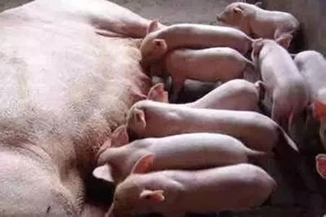 ������������ɻ��ʵ���������