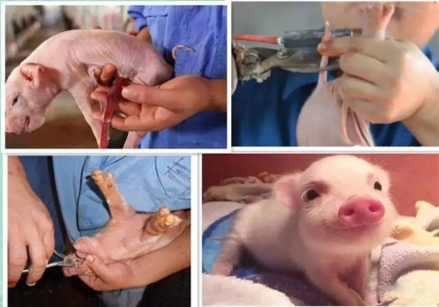 ������������ɻ��ʵ���������