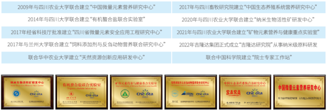 fun88������ҳ�ļ���ʵ��