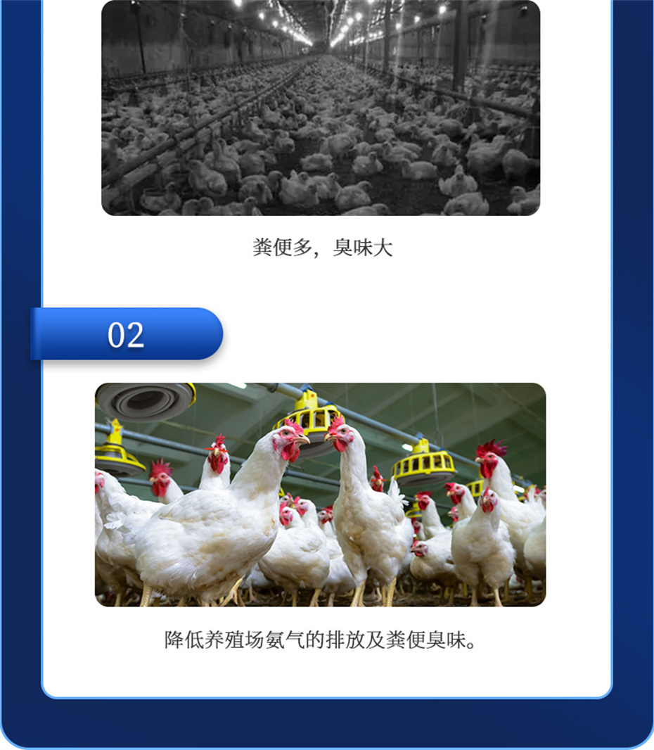 fun88������ҳ�����������Ӽ�����Ԫ��Ʒ����