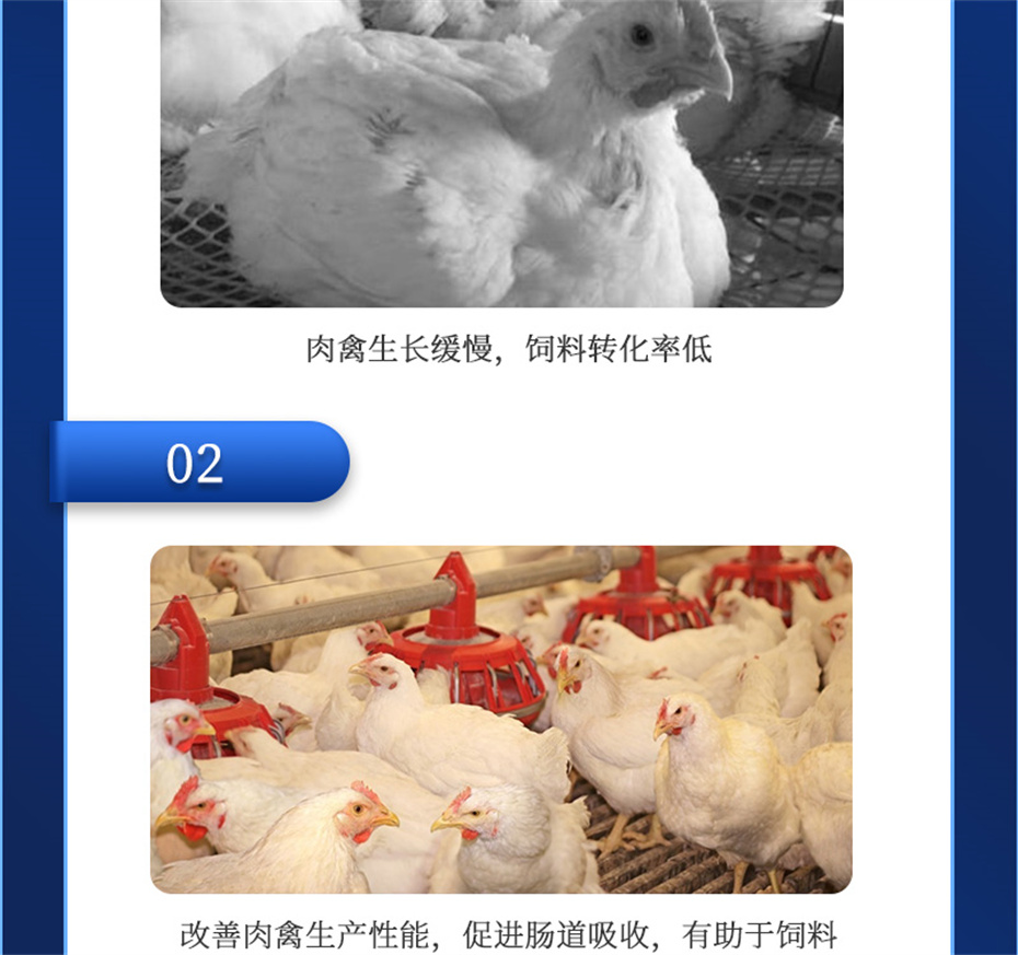 fun88������ҳ�������������Ӽ������ز�Ʒ����