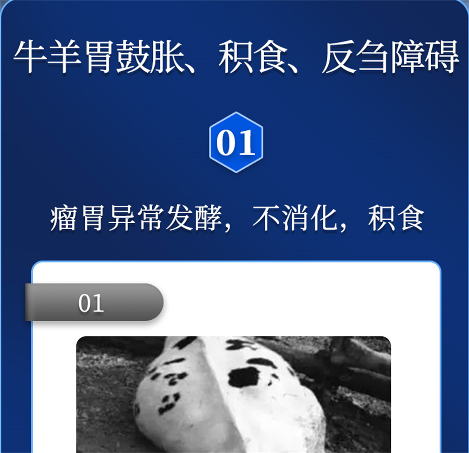 fun88������ҳ����ţ���������Ӽ�θ��plus��Ʒ����