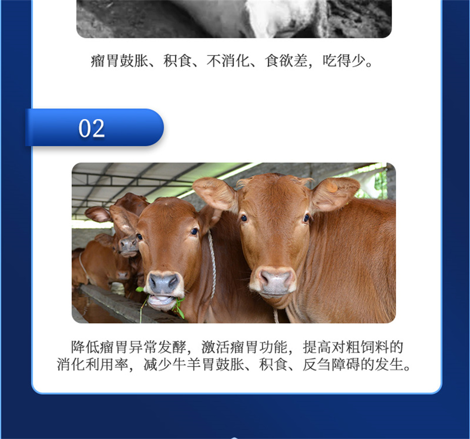 fun88������ҳ����ţ���������Ӽ�θ��plus��Ʒ����