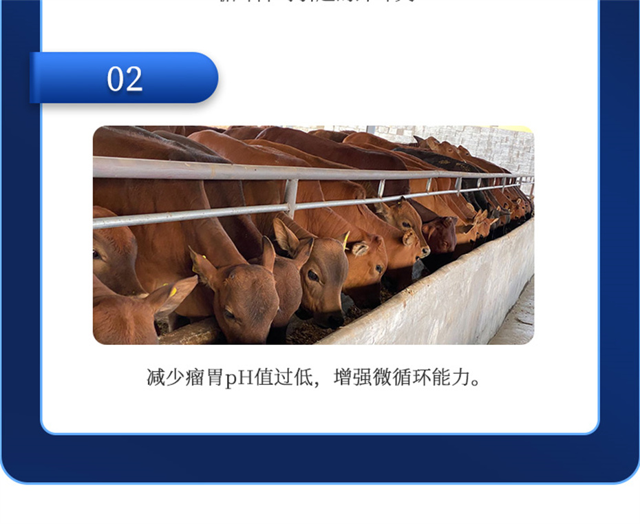 fun88������ҳ����ţ���������Ӽ�θ��plus��Ʒ����