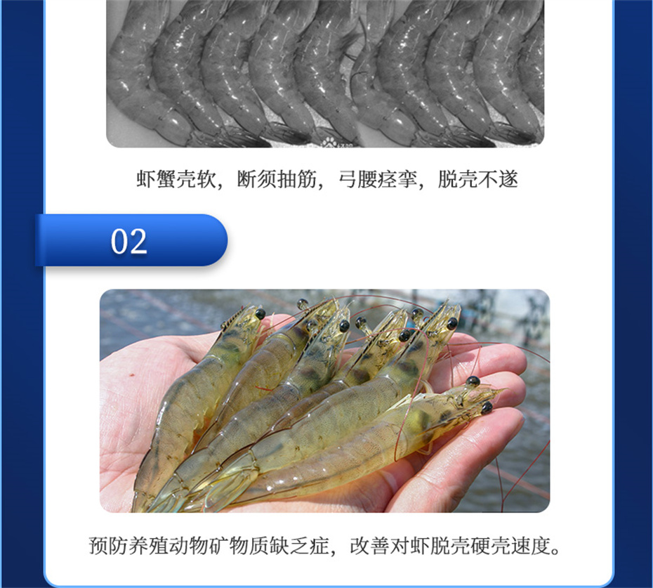 fun88������ҳ����ˮ���������Ӽ��ٲ�΢s+��Ʒ����