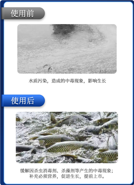 ����1��Ч��