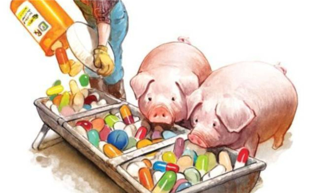 �������Ӽ�