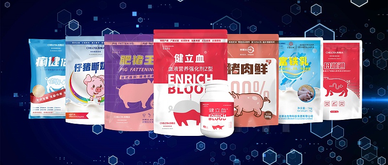 fun88������ҳ�������������Ӽ�