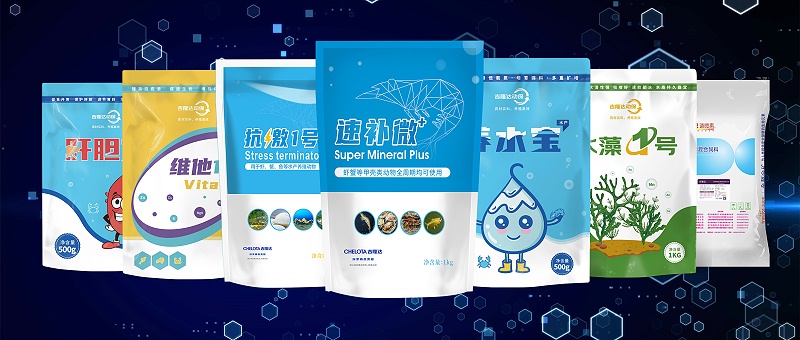 fun88������ҳ����ˮ���������Ӽ�