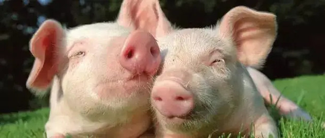 δ��5��������������