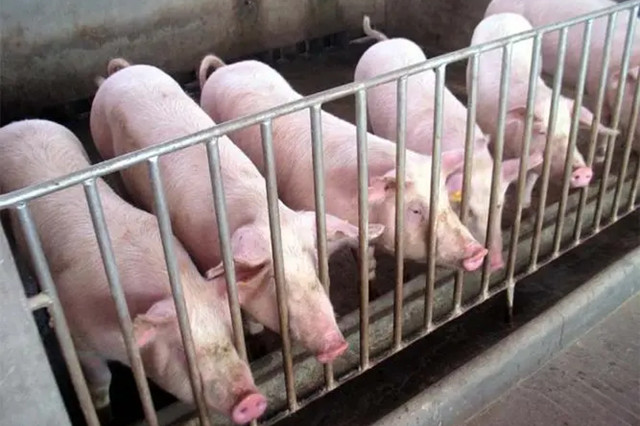 �������Ӽ�����;