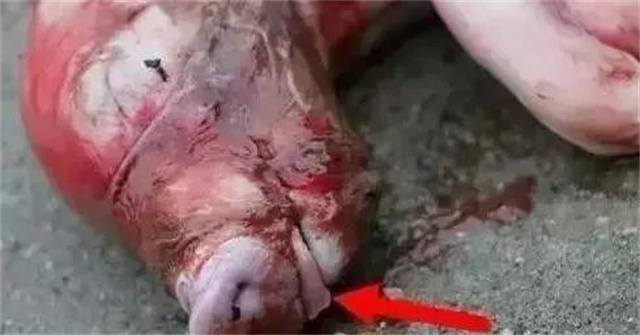 �ж�ĸ���Ƿ�����3������ĸ���ӹ���λ