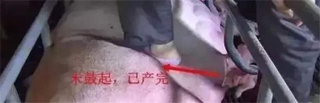 �ж�ĸ���Ƿ�����3�У���ĸ���ӹ���λ