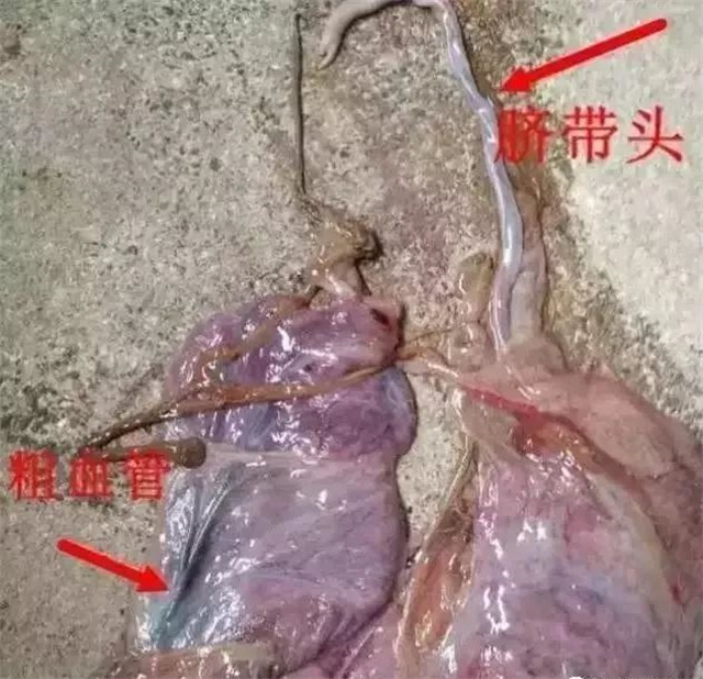 �ж�ĸ���Ƿ�����1���������ͷ