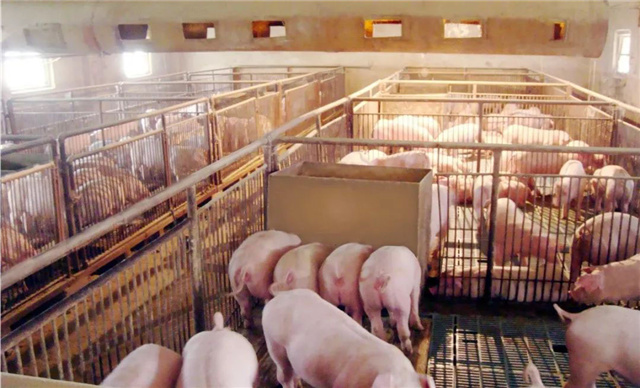 �������Ӽ�