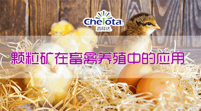 �������Ӽ�