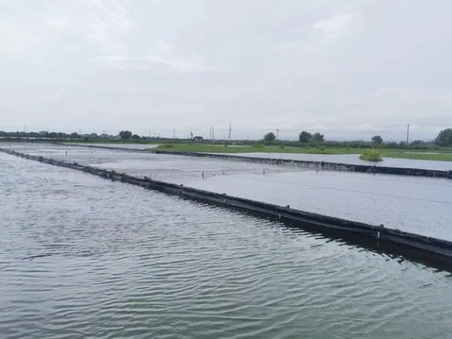 �л�п���л�����ˮ���е�Ӧ�ü�ֵ