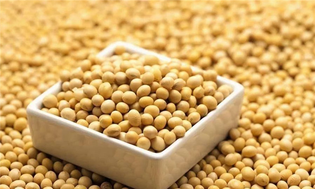 �������Ӽ�