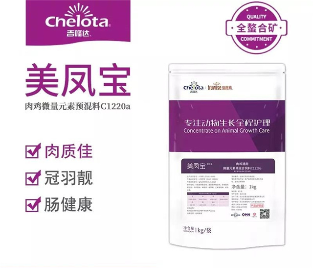 �������Ӽ�