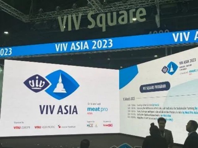 ���޹��ʼ�Լ������չ����